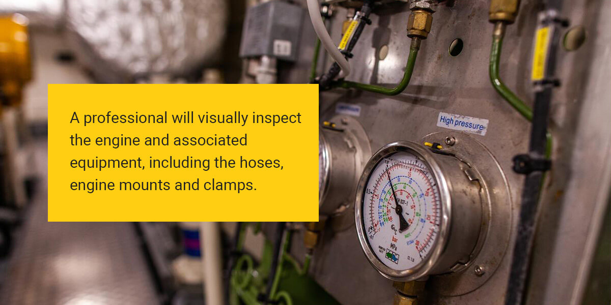 professionals will visually inspect the engine